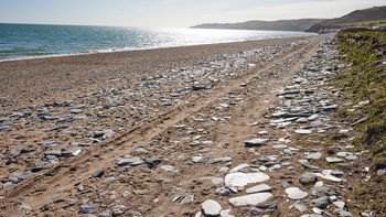 Beesands beach This landscape photograph shows Beesands beach located in Devon, England, United Kingdom. The image was captured in the late morning during the early spring, evident from the clear sky and bright sunlight reflecting off the sea. The beach features sandy terrain with scattered slate stones and visible tire tracks, leading towards the water. In the distance, the peninsula of Start Point is recognizable along the coastline, adding to the coastal scenery typical of Devon. The photograph highlights the natural shoreline environment one can find near Beesands and Start Point in southwest England.